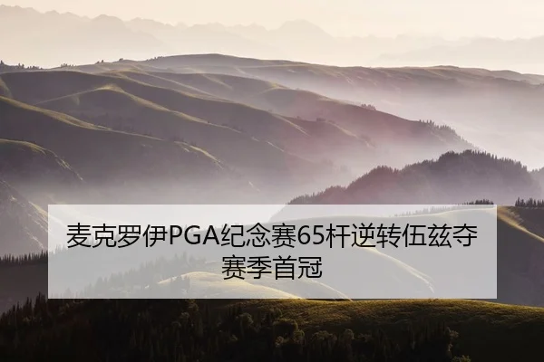 mai-ke-luo-yi-ji-nian-sai-gan-ni-zhuan-wu-zi-duo-sai-ji-shou-guan-2-556.jpg